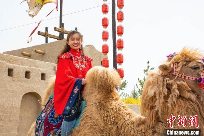 图为甘肃甘州甘浚镇干部着古装、骑骆驼,推介速展村三社旅游,吸引游客。 甘州区融媒体中心供图 图为甘肃甘州甘浚镇干部着古装、骑骆驼,推介速展村三社旅游,吸引游客。 甘州区融媒体中心供图
